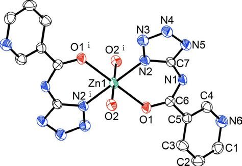 View of the coordination environment of Zn 2+ in title compound at 50% ...