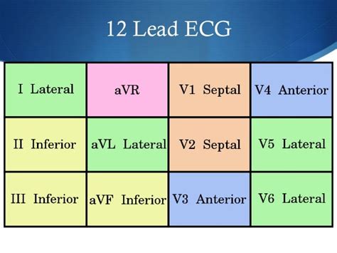 Principles Of Ecg Interpretation