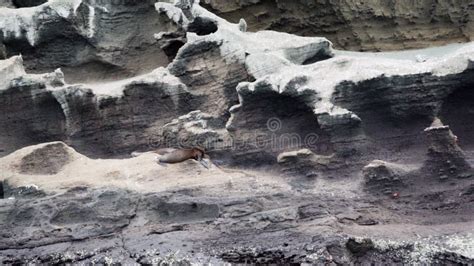 Volcanic Landscape Of Bartolome Island Galapagos Islands Stock Video