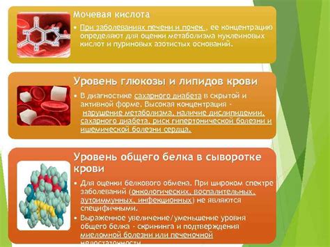 Клинический и биохимический анализ крови Выполнила Беимбетова Евгения