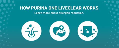 Amazon.com : Purina ONE LiveClear Allergen-Reducing Cat Food Dry ...