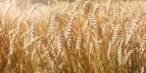 Sword & Trowel: Pivotal moments|Baptist Messenger of Oklahoma