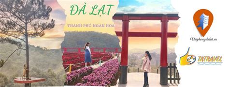 Review top 9 tour du lịch Đà Lạt 1 ngày HOT nhất 2025