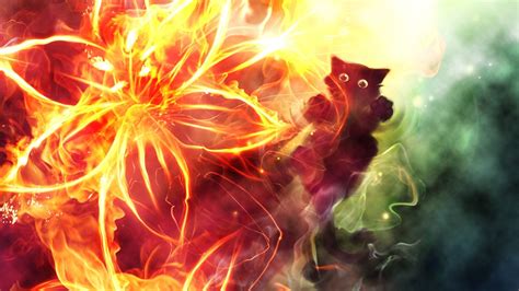 Fire Cat Wallpapers Top Free Fire Cat Backgrounds Wallpaperaccess