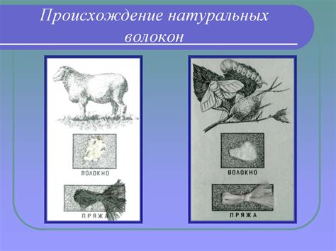 Свойства химических волокон. О видах химических волокон и производстве ...