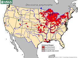 Zeke "the Prowler" Zebra Mussel
