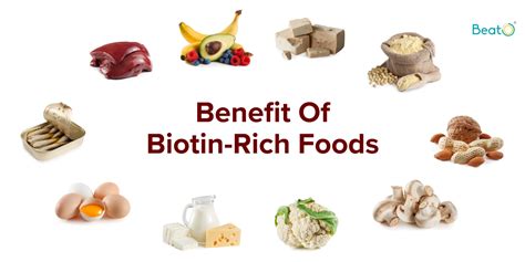 Benefit of Biotin Rich Foods And Why Is It Essential To Add To Your ...