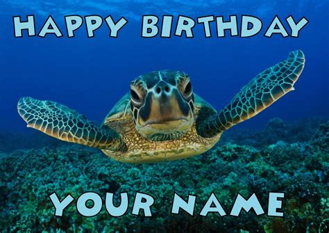 Sea Turtle Kids Adult Funny Kids Adult Funny Personalised Birthday Car