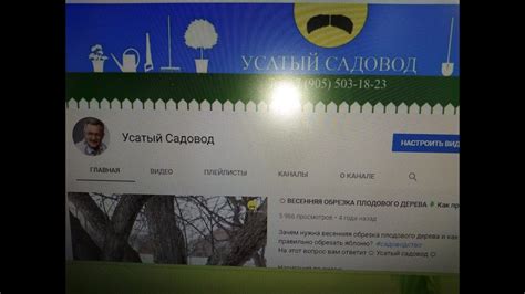 ☼Подготовка к посеву семян петрушки и укропа - YouTube