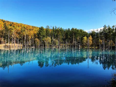 15 Amazing Things To Do In Hokkaido | Japan Wonder Travel Blog