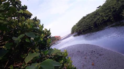 Transacting With This Slut Screaming With Pleasure In Online Porn Cnn Amador