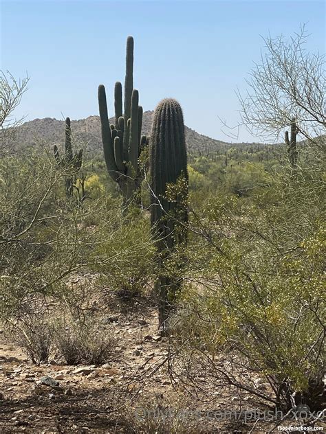 Cheating Wife Nude OnlyFans Leaks Fappening FappeningBook