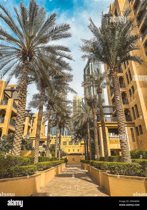 Souk Al Bahar Market Near Dubai Mall Downtown Dubai United Arab