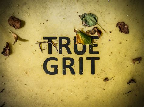 True Grit Is The One Skill Most Successful People Sha