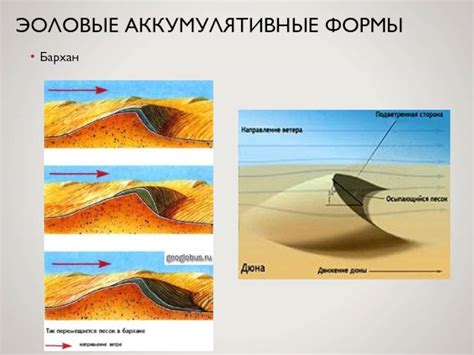 Чем отличаются барханы и дюны