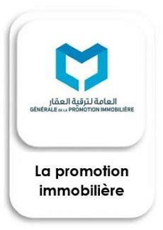 La Société Nationale Industrielle et Minière (SNIM) | Société Nationale ...