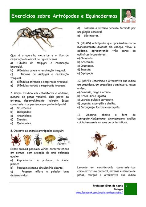 Questoes Artropodes - EXERCÍCIOS ARTRÓPODES E EQUINODERMAS.pdf