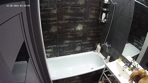 Watch Sex Fox Showering After Sex 2023 12 26 Naked People With Fox In Bedroom The Biggest