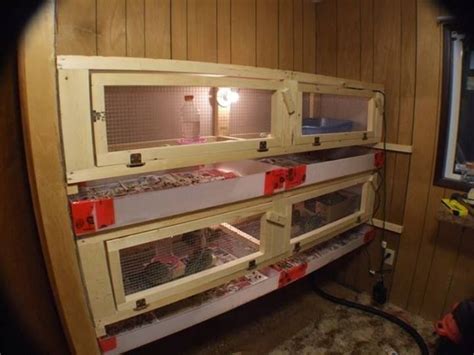 17 Best images about Quail pens on Pinterest | Quails, Coolers and Eggs
