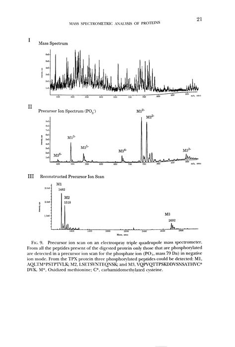 triple quadrupole scan modes big chemical encyclopedia