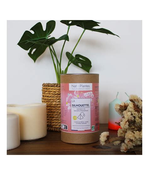 Infusion Bio Sachets Pyramide Silhouette Nat Plantes