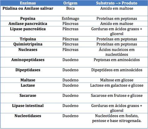 Qual é A Enzima Responsável Pela Digestão Do Amido - 5