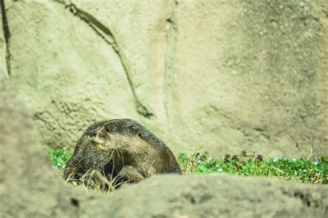 Zoo0677 Virginia Zoo