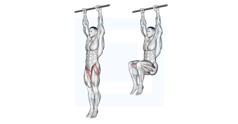 Hanging Leg Raise Guide Benefits And Form