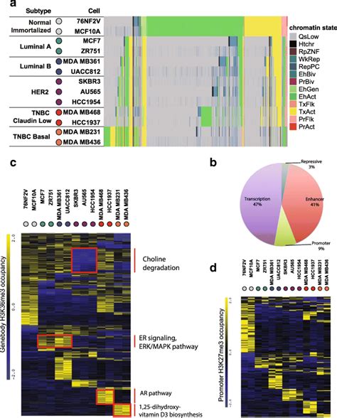 Chromatin States Signatures For Breast Cancer Subtypes A Genome Wide Download Scientific