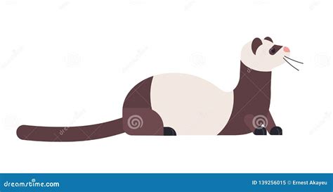 Cartoon Polecat Stock Illustrations 374 Cartoon Polecat Stock