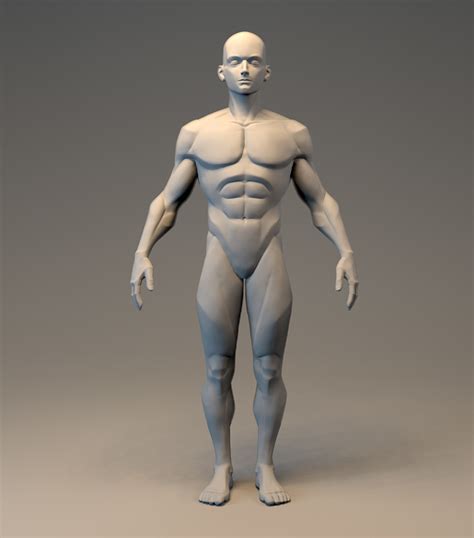 Stylized Male Basemesh