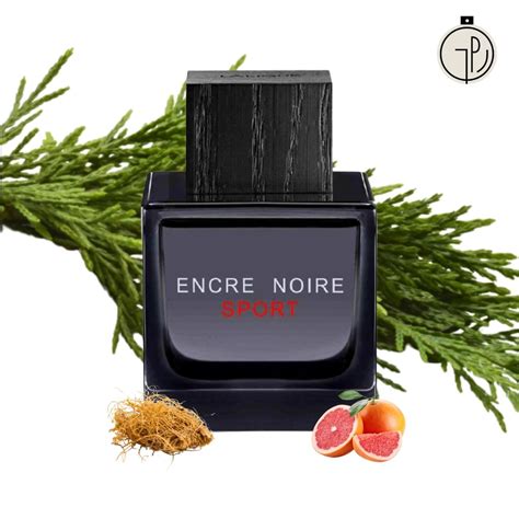 Jual COD Lalique Encre Noire Sport For Men EDT 100 Ml Product Shopee