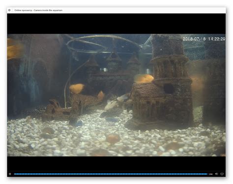 IPEYE - онлайн видеонаблюдение с облачным хранением