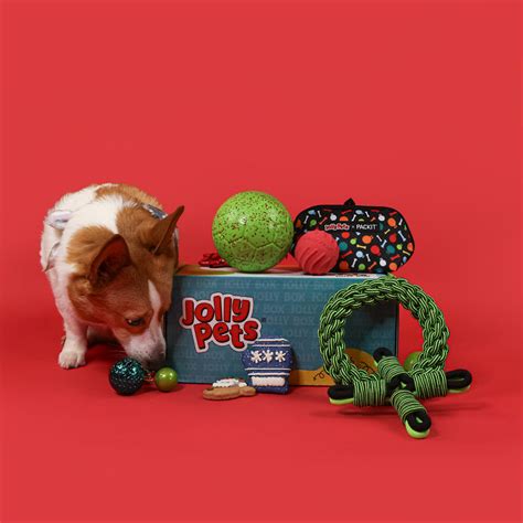 Jolly Pets | Enrichment Dog Toys | Shop Now