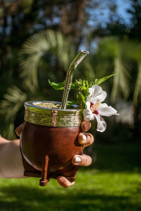 AGUANTE EL MATE ARGENTINO
