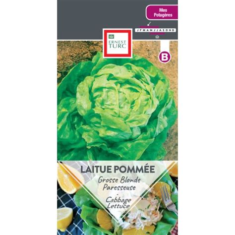 Laitue Blonde Jardinerie Ferriere Fleurs