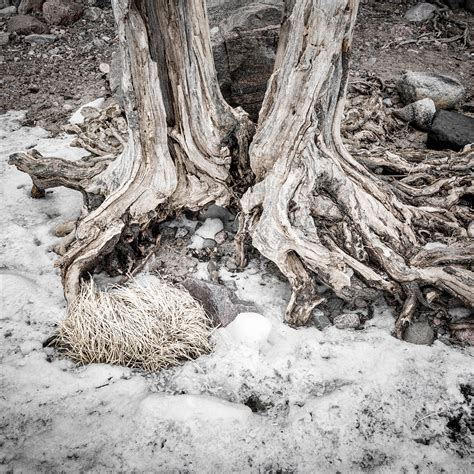 Lauttasaari Series: When the Ice Melts in Spring – The Ancient Eternal