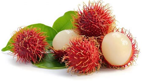 Premium Photo Rambutan On Isolated White Background