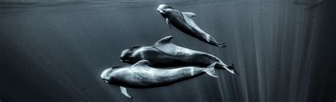 George Karbus Fine Art Prints And Photography Lumas