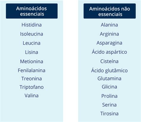 Qual A Diferença Entre Aminoácidos Essenciais E Não Essenciais - Aminoácidos essenciais: para que servem e seus benefícios