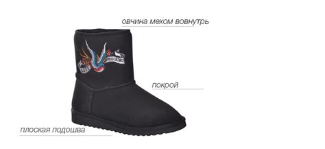 Виды женской обуви. Классификация обуви на Modoza.com