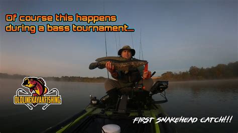 Snakehead Catch During Kayak Bass Tournament Youtube