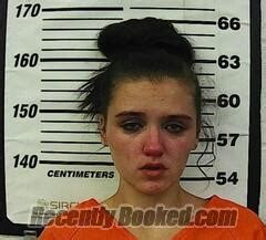 Recent Booking Mugshot For Destiny Marie Boyd In Cherokee County Kansas