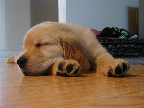 baby Moby Free Photo Download | FreeImages