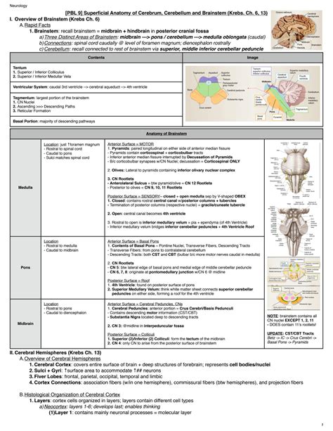 SOLUTION Pbl 9 10 Superficial Anatomy Of Cerebrum Cerebellum Brainstem