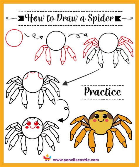 Cute Spider Drawing Step By Step