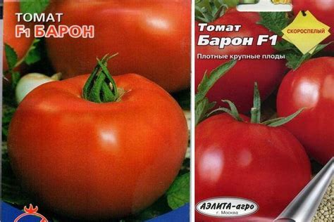 Томат Барон: характеристика и описание гибридного сорта с фото