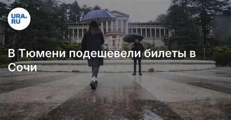 Из Тюмени подешевели билеты в Сочи: цена на конец сентября