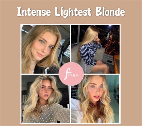 Intense Lightest Blonde Permanent Hair Color Set Bob Keratin With Oxidnat Bleach Set