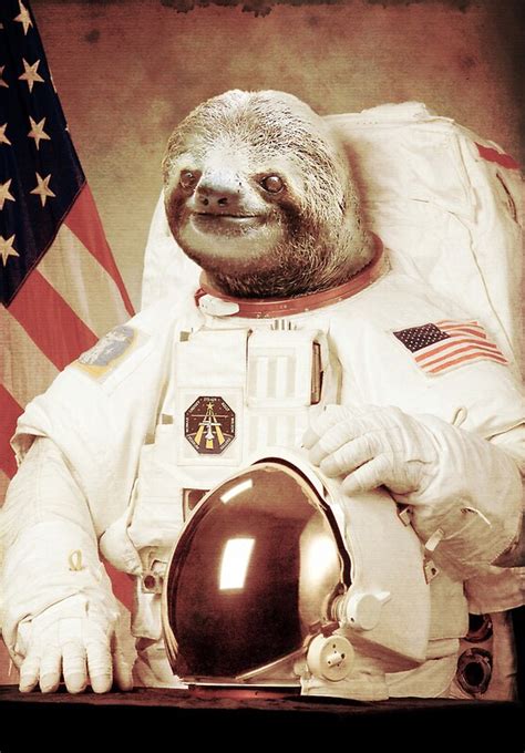 Astronaut Sloth Posters By Bakuspt Redbubble